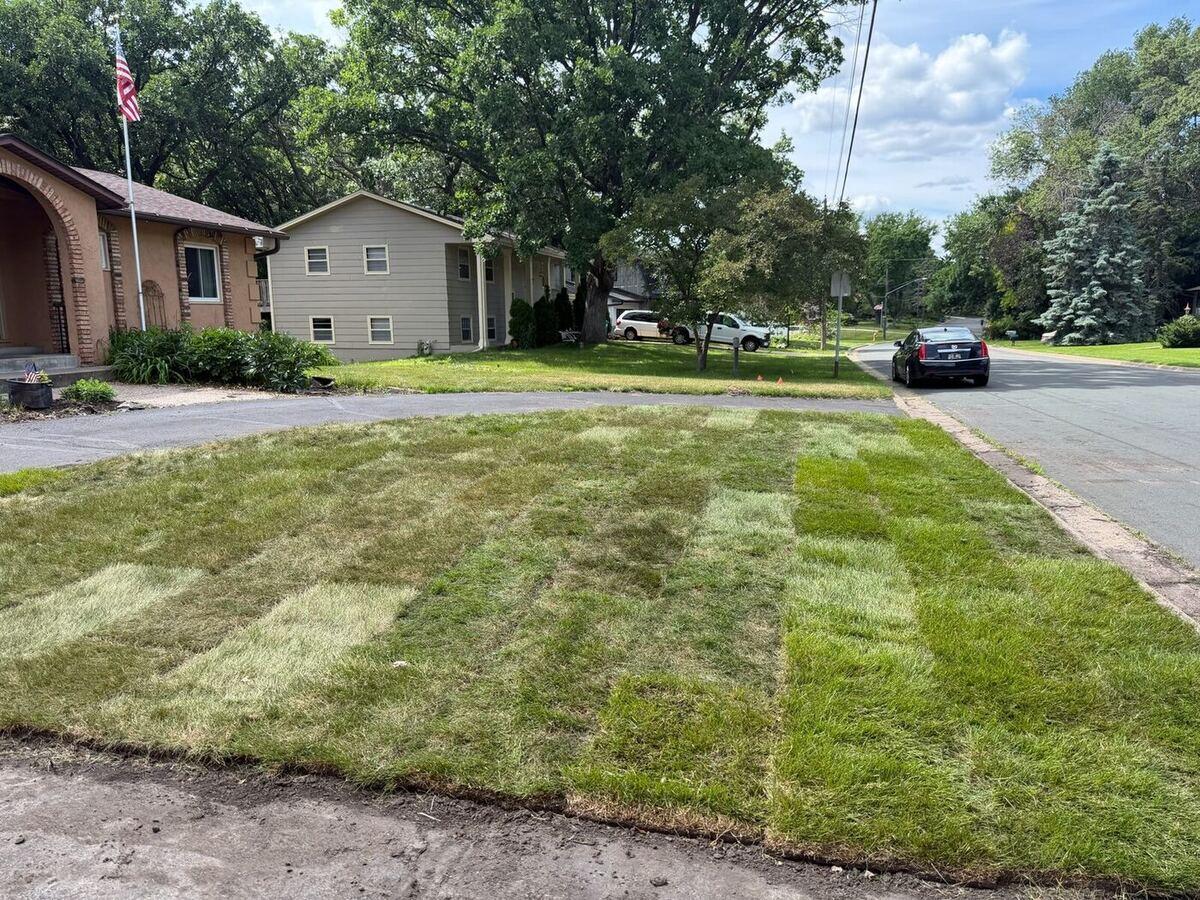 Front Yard Sod