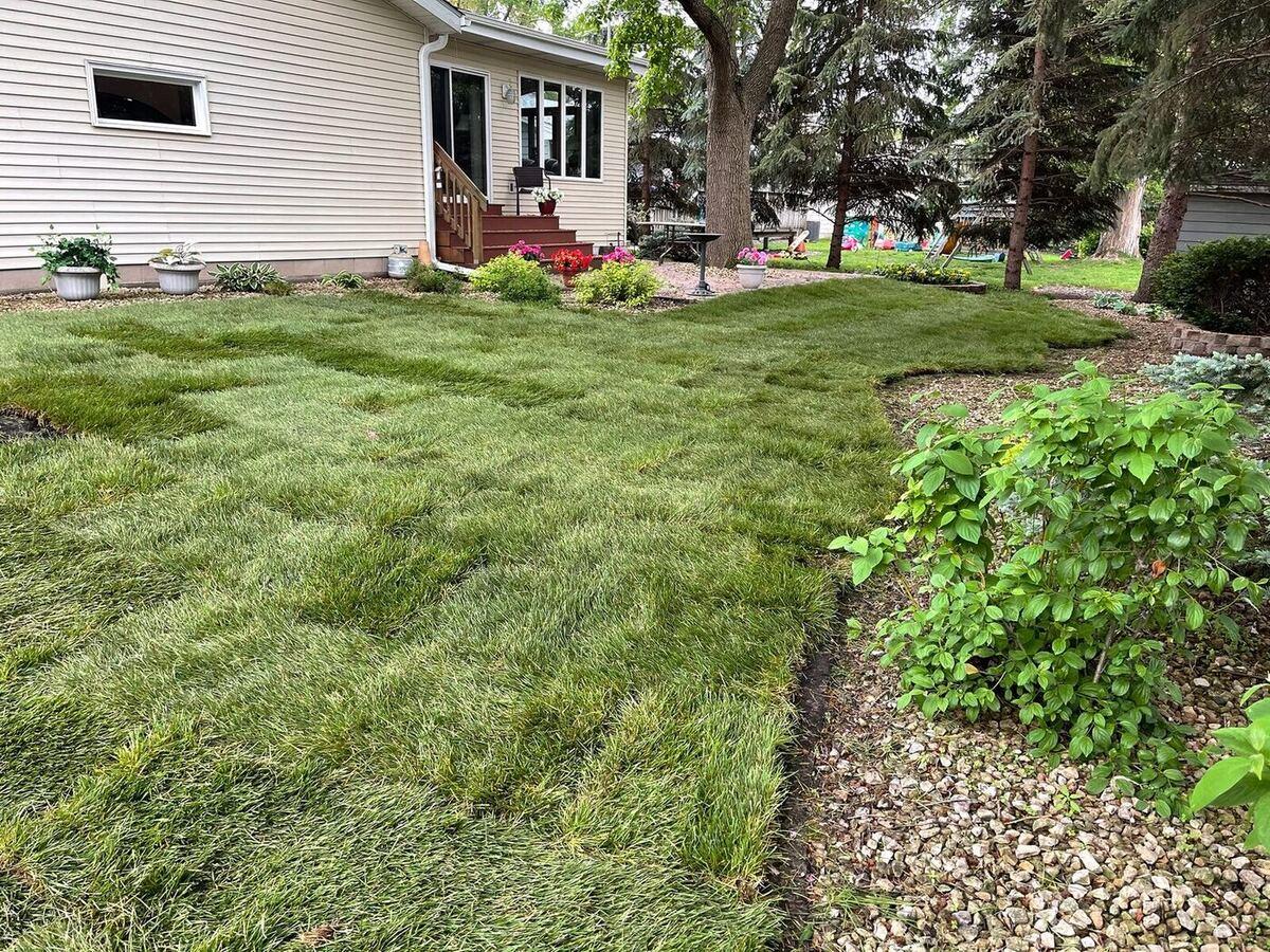 New Sod Front Yard